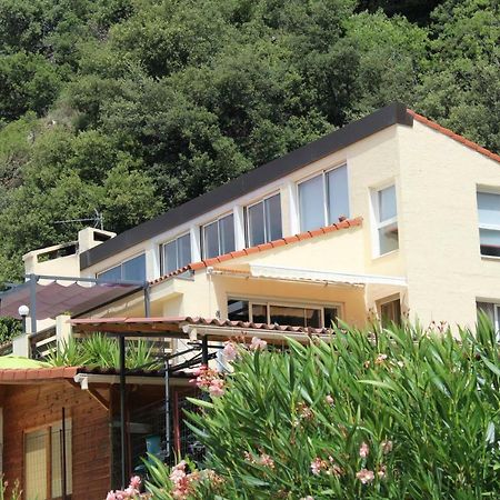Villa Mas Solar D'En Malcion Amélie-les-Bains-Palalda Exterior foto
