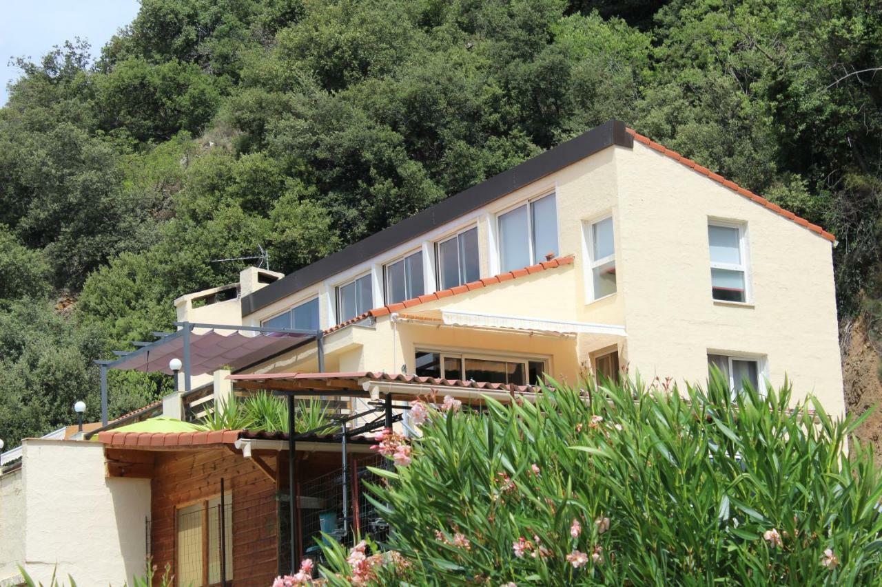 Villa Mas Solar D'En Malcion Amélie-les-Bains-Palalda Exterior foto
